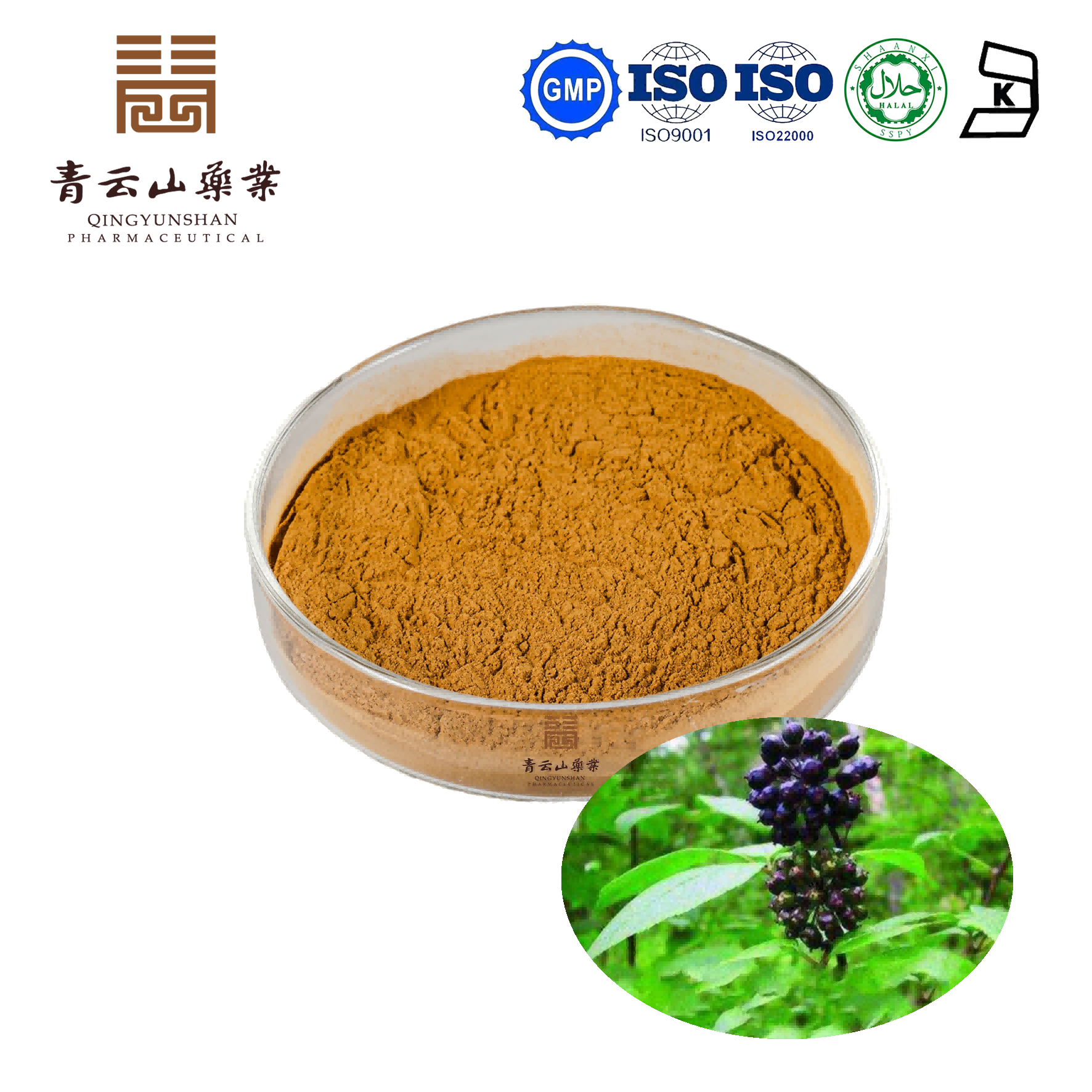 Siberian Ginseng Extract Guangdong Qingyunshan Pharmaceutical Co